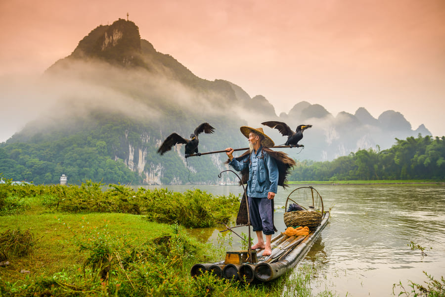 Pesca con cormoranes en Yangshou, China.